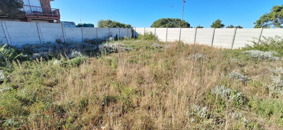0 Bedroom Property for Sale in Reebok Western Cape